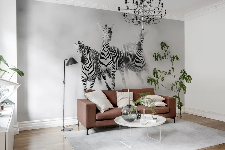 Graphic Zebras