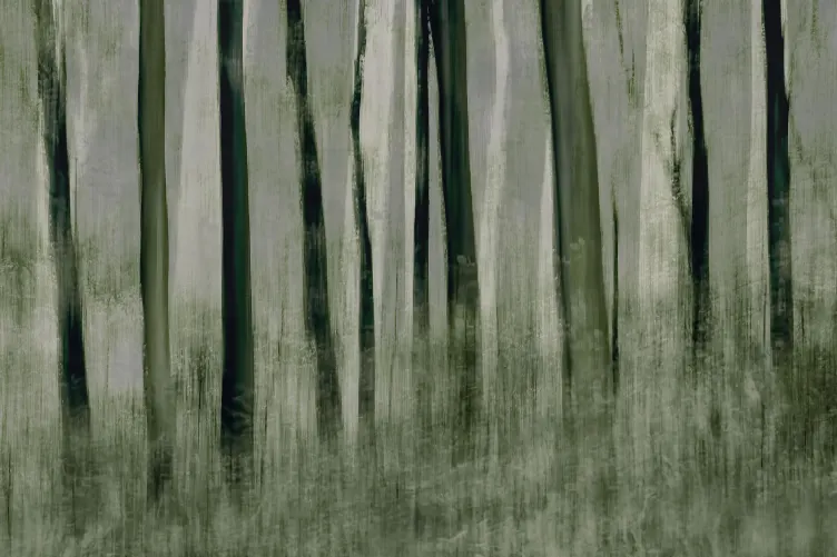 Painted Trees