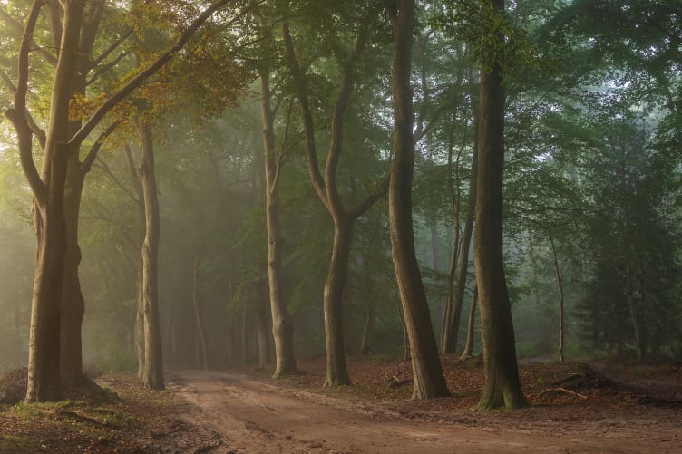 Secret Road
