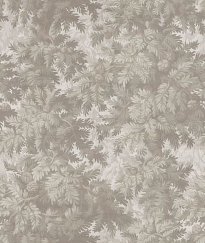 Spruce Forest, Sand