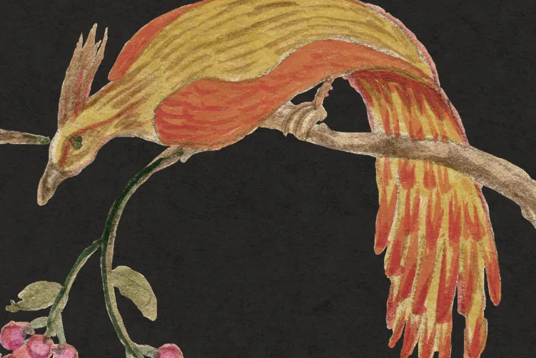 Songbirds, Midnight