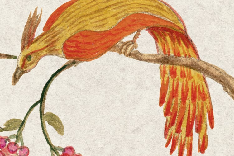 Songbirds, Pearl