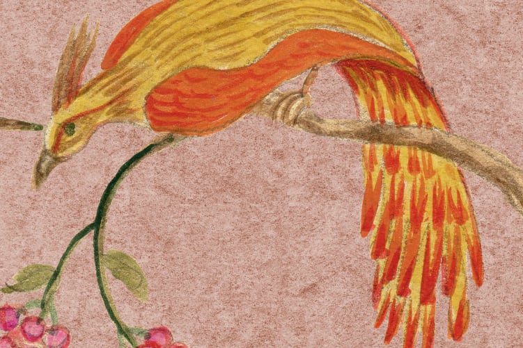 Songbirds, Pink