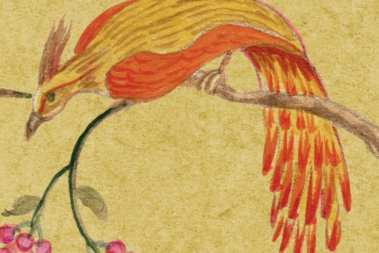 Songbirds, Saffron