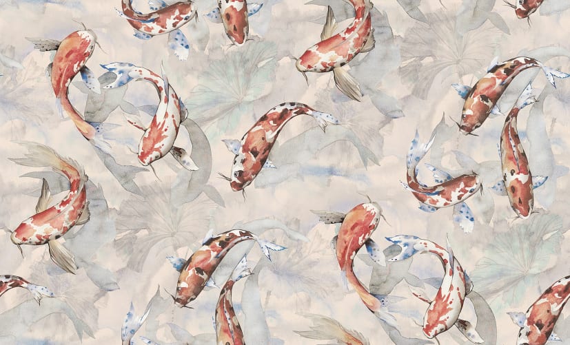 Koi, Coral