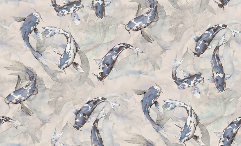 Koi, Blue