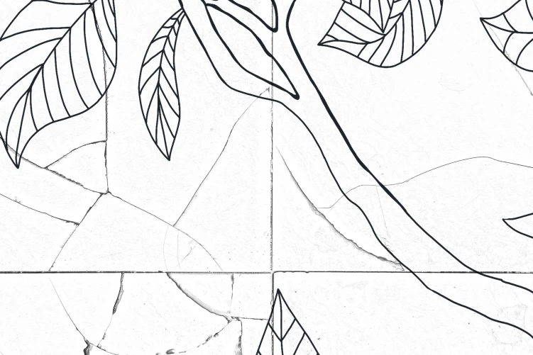 Rose Tiles, Graphite