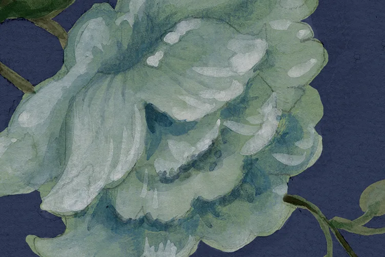 Grandiflora, Blue