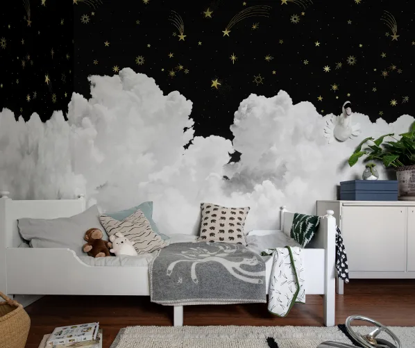 Star Cloud Night
