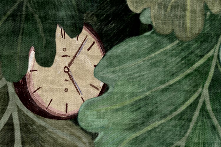 Timeless Green