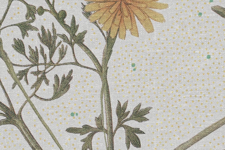 Storm Flowers, Seaweed	