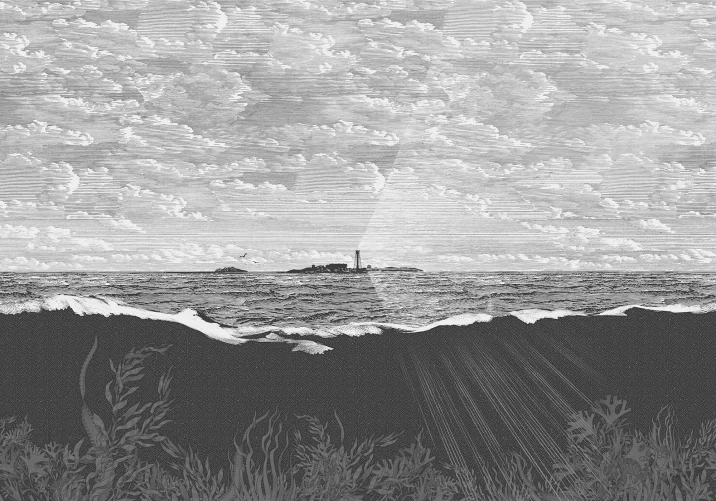 Guiding Light, Graphite	