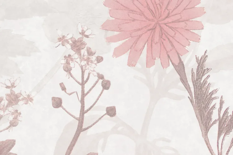 Stormy Meadow, Dusty Pink	