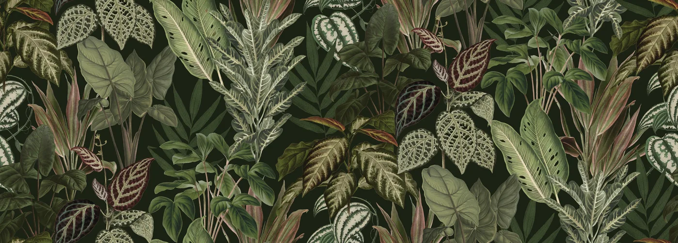 Mischievous Jungle, Lush