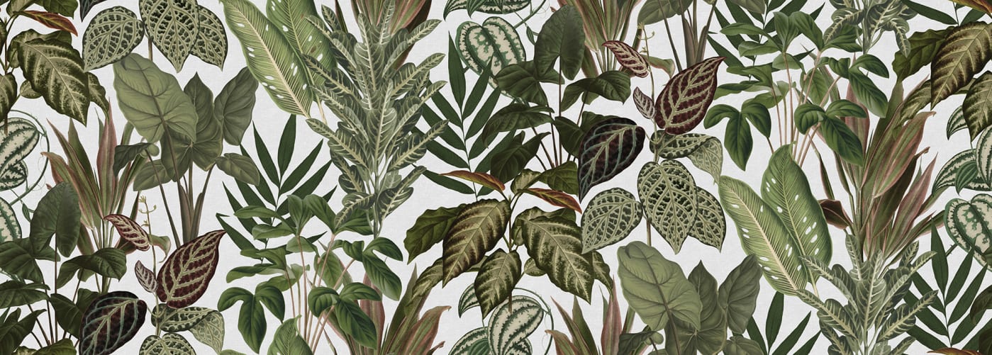 Mischievous Jungle, White