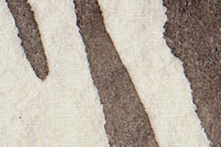 Zebra Stripes, Brown