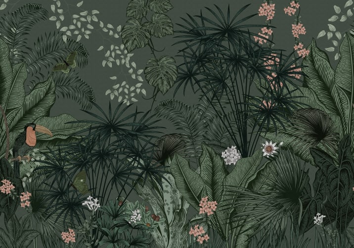 The elements of the rainforest