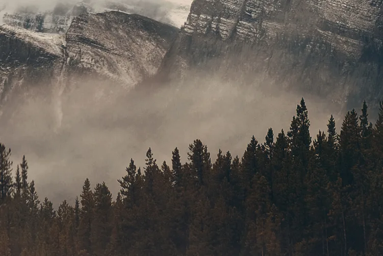 Die Elemente der Natur