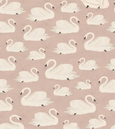 Graceful Swans