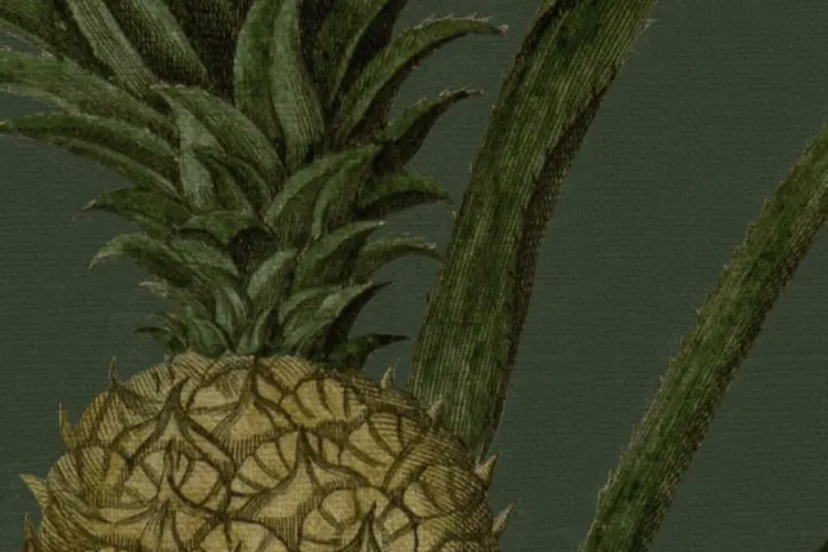 Go Tropical!