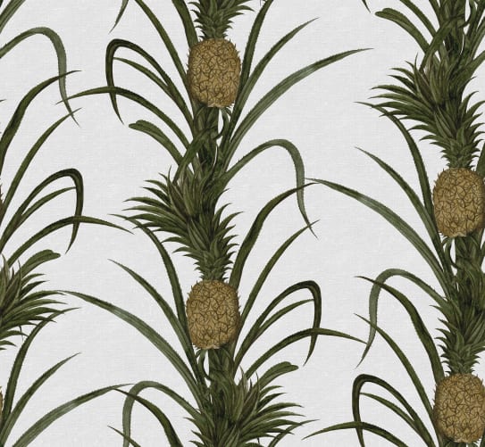 Create A Tropical Haven