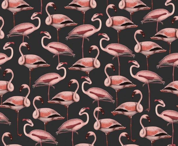 Flamingo Fiesta