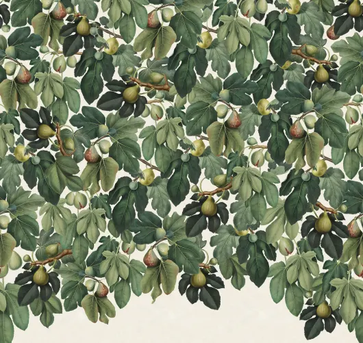 Vous voulez des figues ?