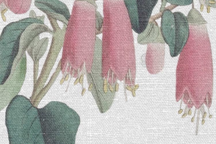 Nature's Artistry on Your Walls