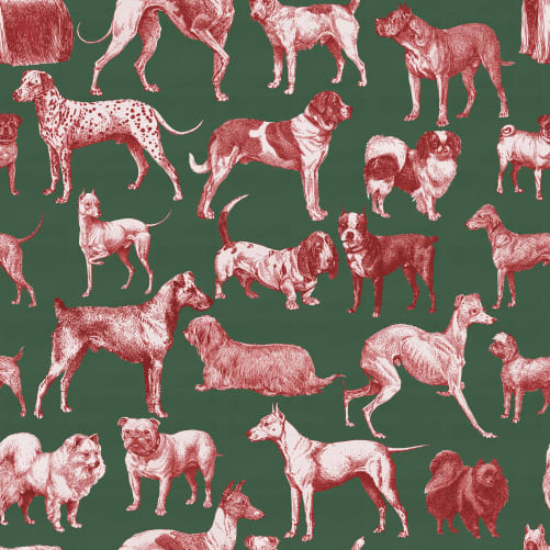 Chiens en rouge