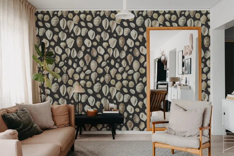 Une collection exquise de coquillages