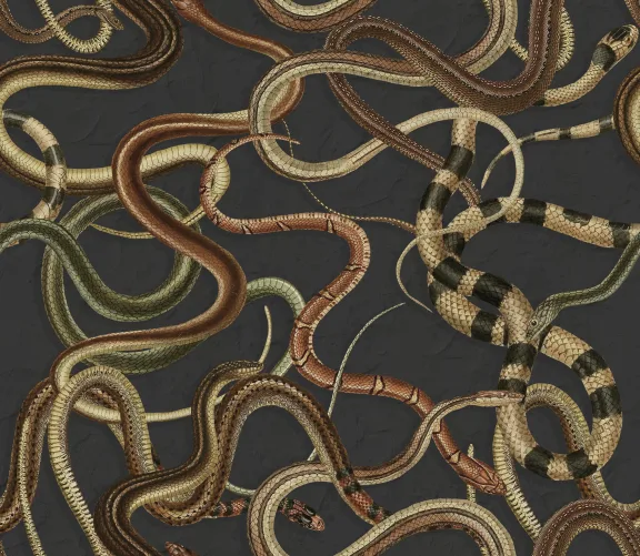 Un mur de serpents