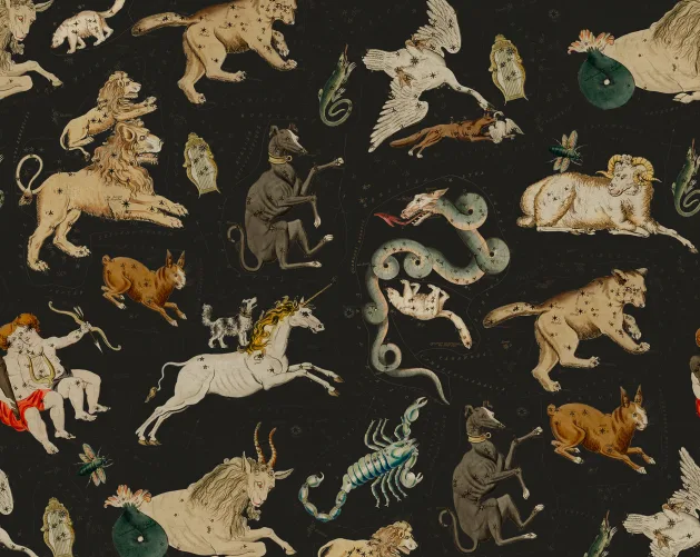 Zodiac Signs Comes to Life