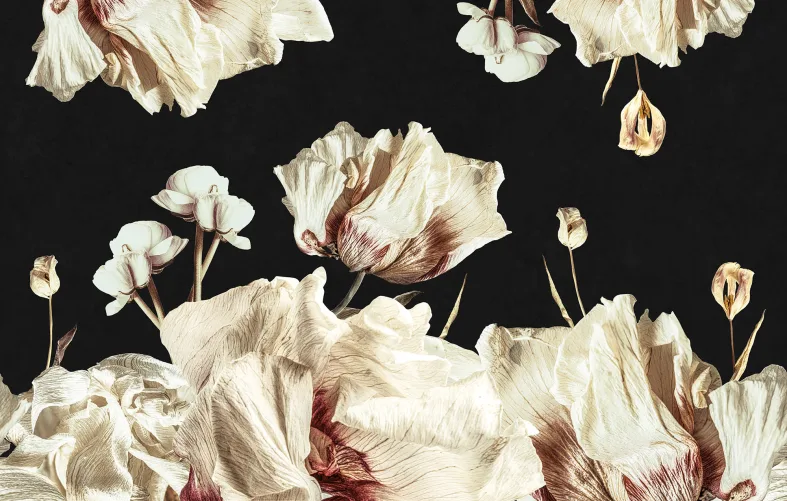 Fleurs séchées