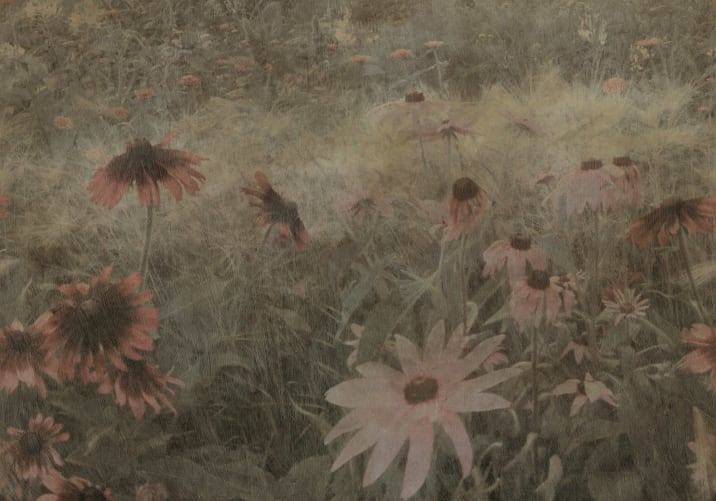 Textured Dreams