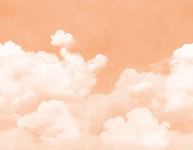 Ciel amical