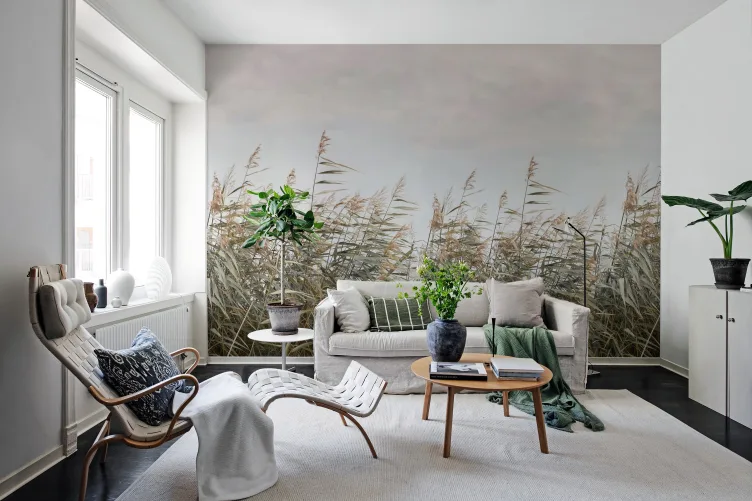 A Canvas of Restfulness 