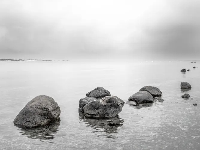 Serene Lakeside 