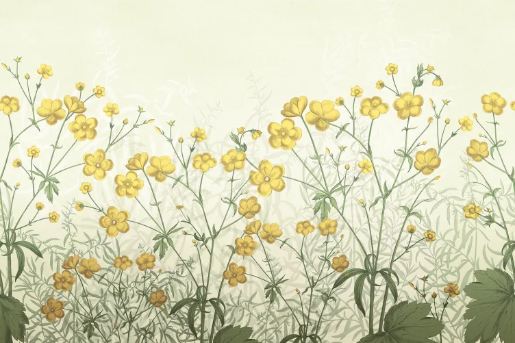 A Field of Flowers