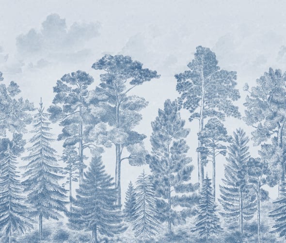 Fascino blu scandi