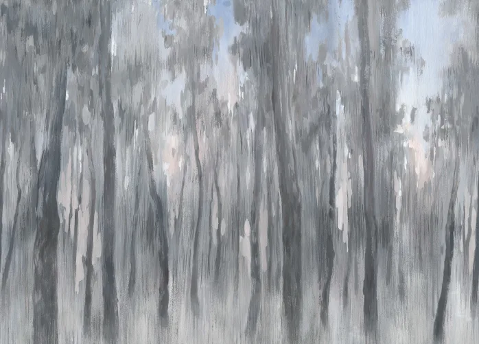 Gray Morning Forest