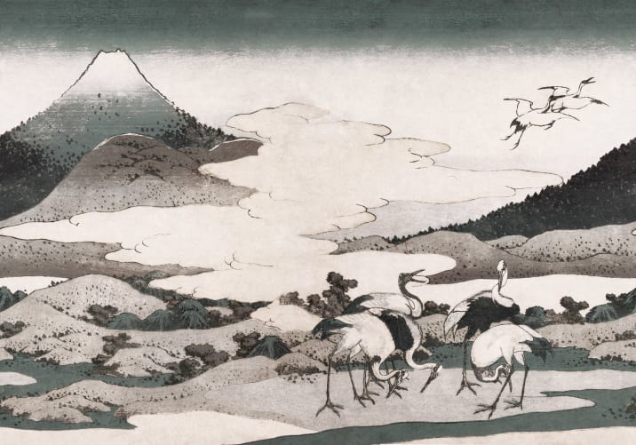 Japanese Mountain View