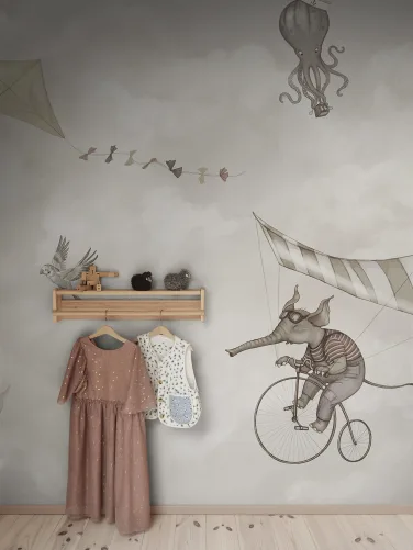 Dreamy Sky Adventures