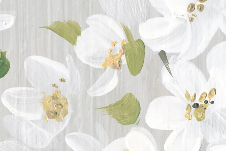 Serenadi Kukkiville: Kirsikankukkien Eleganssi