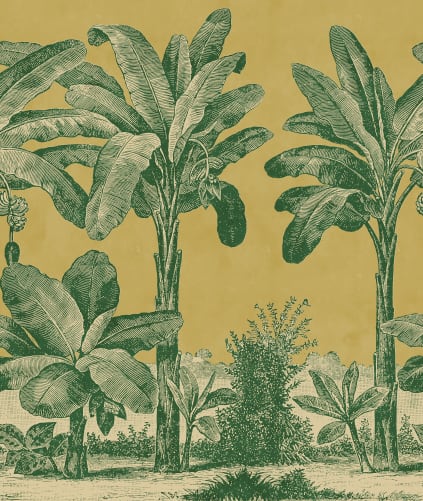 Renouveau tropical