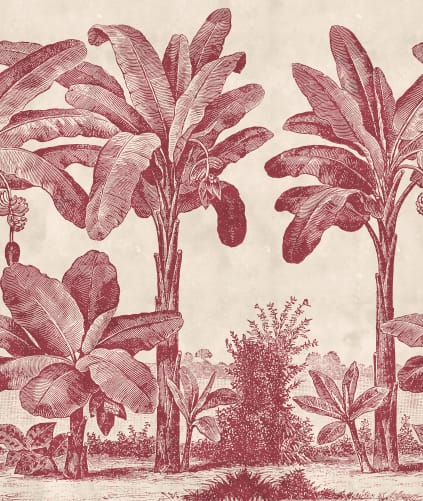 Senza tempo tropicale