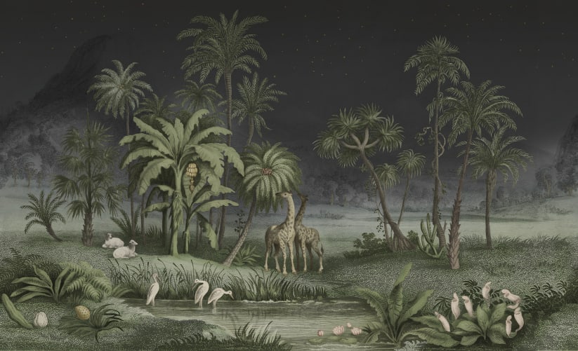Night Safari