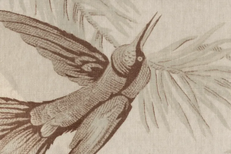 Chuchotement du chant des oiseaux