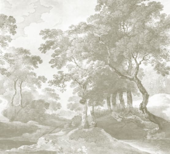Charme intemporel des bois