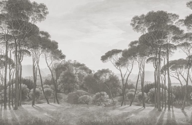 Évasion dans la forêt brumeuse