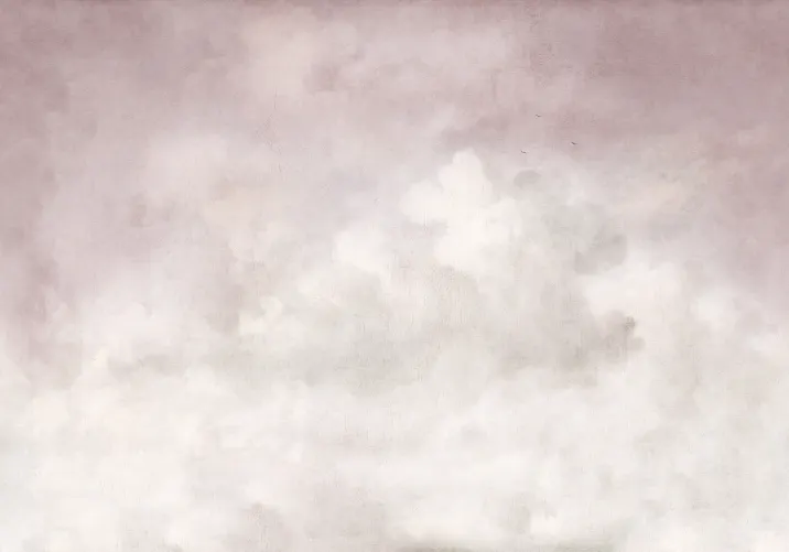 Dreamy Pink Skies